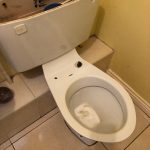 Toilet Repairs